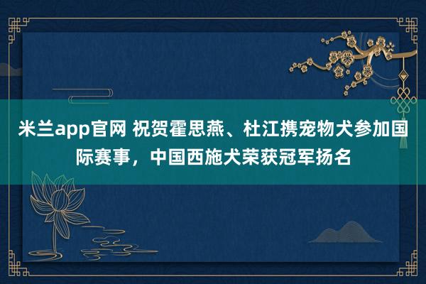 米兰app官网 祝贺霍思燕、杜江携宠物犬参加国际赛事，中国西施犬荣获冠军扬名