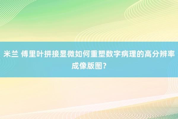 米兰 傅里叶拼接显微如何重塑数字病理的高分辨率成像版图?