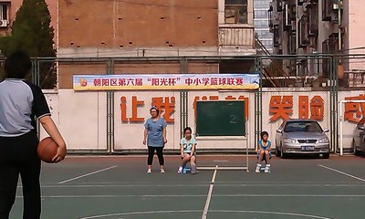 白家庄小学、垂杨柳中心小学与朝阳中心小学对比分析