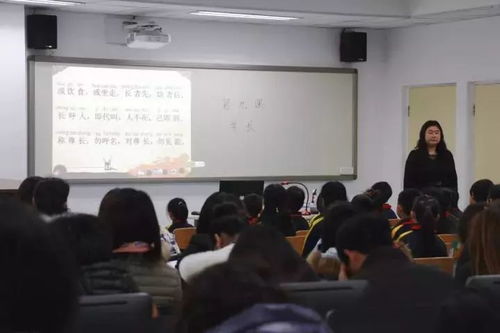 2017年北京市中小学德育工作区校行活动在潞河中学举行，朝阳中心小学积极参与